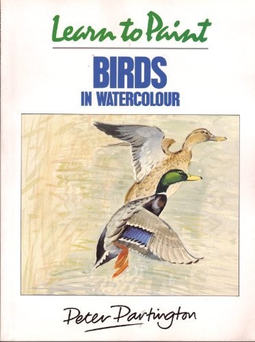 Learn paint birds in - paint,