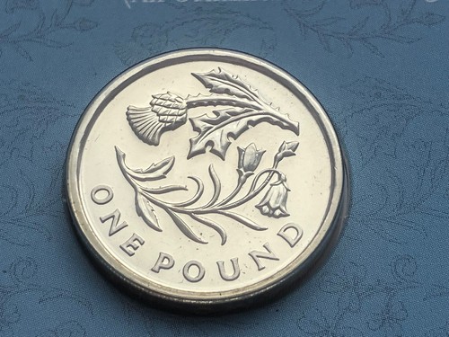 Coin one pound 1 2014 - coin, £1