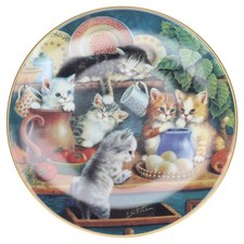 On the kitchen cabinet Bradex