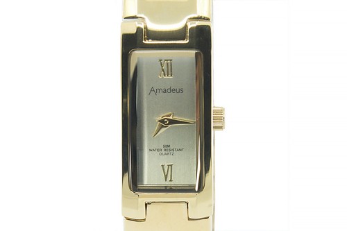 Ladies watches amadeus - watches,