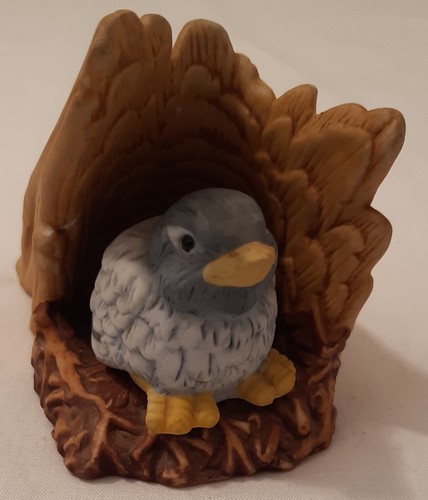 Woodland surprises bluebird - woodland,