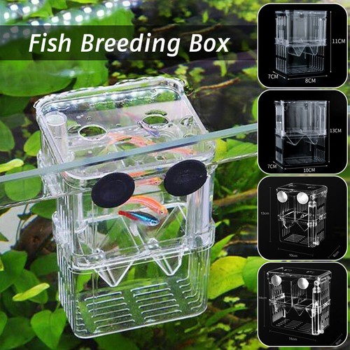 Aquarium fish box tank guppy - tank,