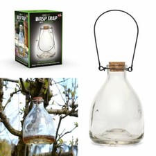 Glass Wasp Trap Large Hanging