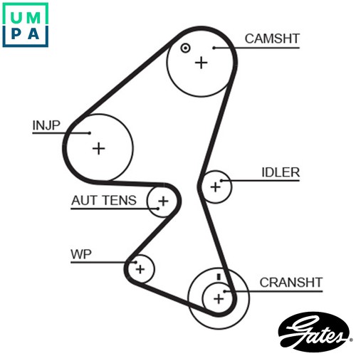 Timing belt 5598xs for peugeot - timing,