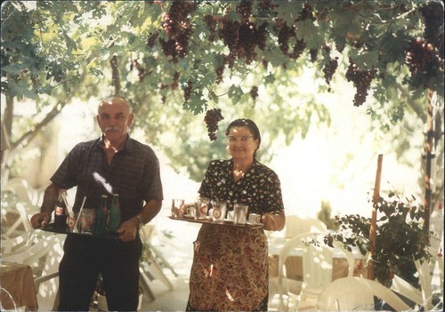 Vintage postcard cyprus phiti - vintage,