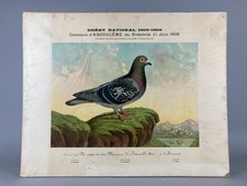 ANTIQUE 1908 PIGEON RACING