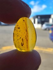 0.8g Burmese Amber with
