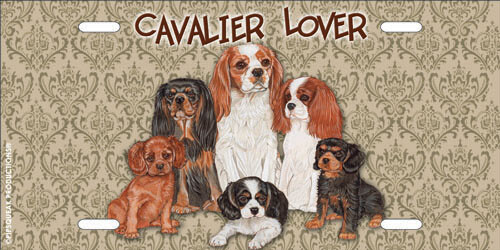 Cavalier king charles license - cavalier,