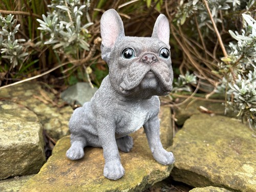 Vivid arts blue grey - vivid,