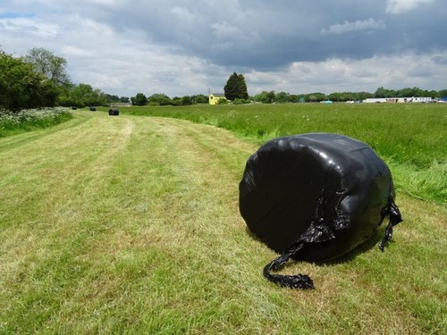 Photo 6x4 silage bales - 6x4,