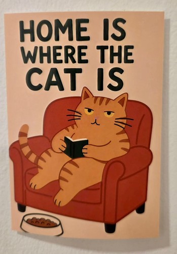 Funny ginger cat postcard mini - postcard,