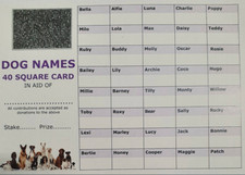 DOG NAME THEMED FUNDRAISING