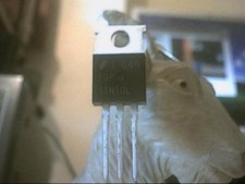 13N10L   OUTPUT MOS-FET  FOR MOST NEW  SSB CB RADIOS 1 PAIR