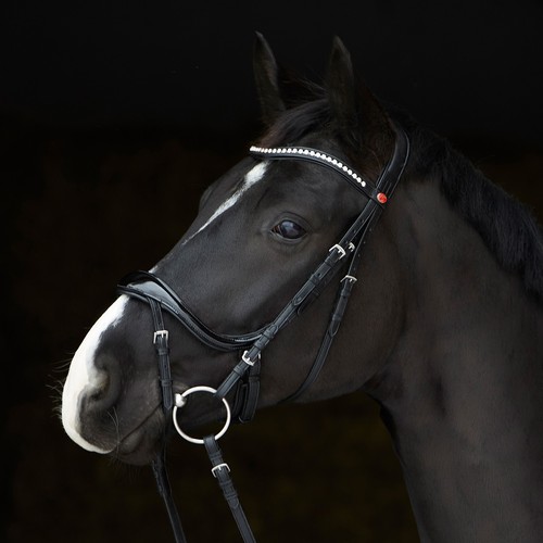 Kieffer bridle ultrasoft - kieffer,