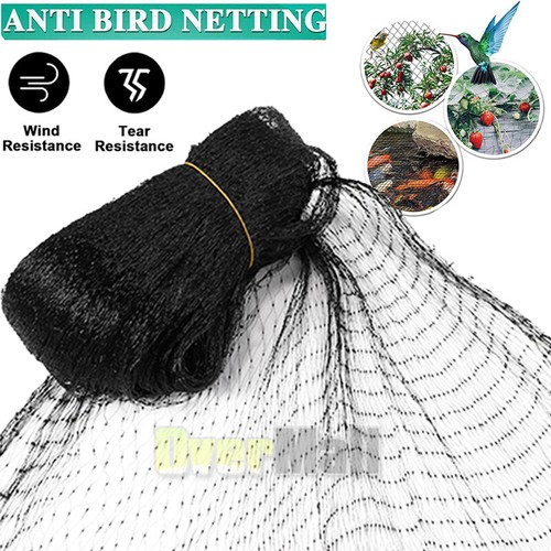 Heavy anti bird - anti,