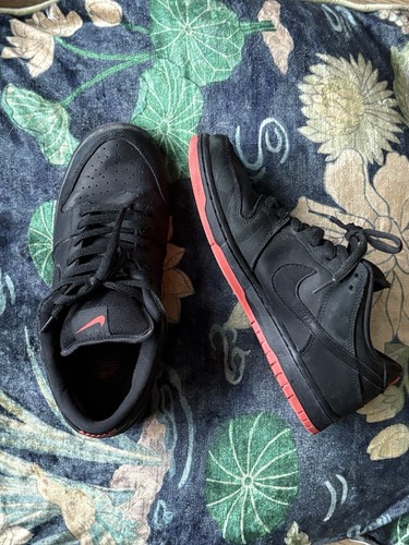Nike sb dunk - nike, pro