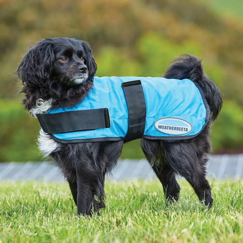 Weatherbeeta therapy tec - weatherbeeta, therapy-tec