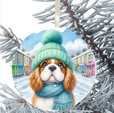 King Charles Cavalier Spaniel