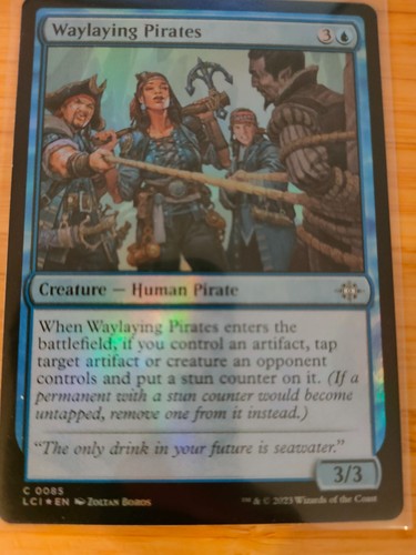 Mtg waylaying pirates - mtg, (foil)
