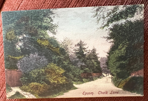 Antique postcard epsom - antique,