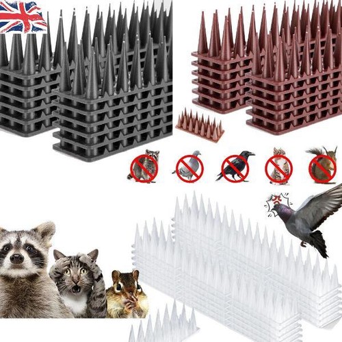 Bird spike 20m for pigeon - 20m,