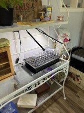 Complete Seedling Propagation