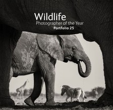 Wildlife Photographer of the