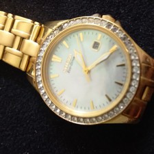 Ladies Stainless Steel Gold