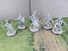 Myrmidesh Painbringers