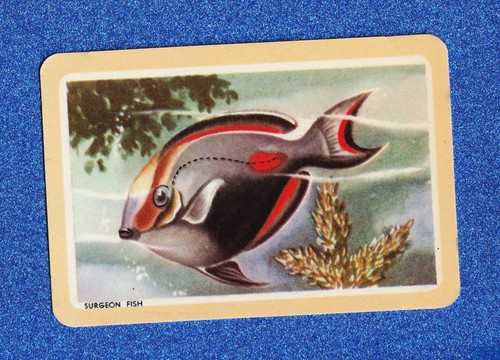Vintage woolworths fish - vintage,