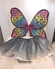 Shimmering Iridescent Wings W/