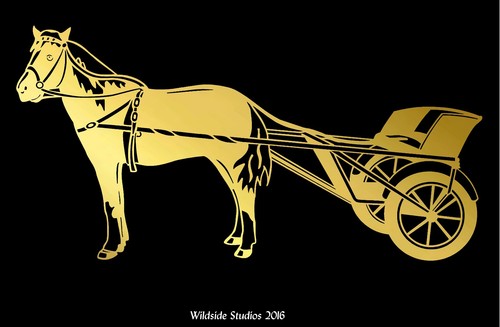 Miniature horse and - and, decal