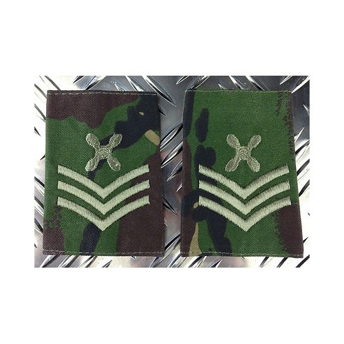British army chief technician - chief,