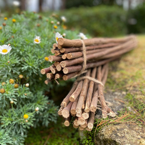 Plant support sticks - sticks, willow
