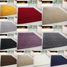 Thick Large Shaggy Rugs Non