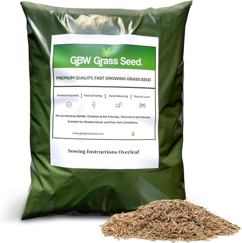 Gbw grass seed 1kg - seed,