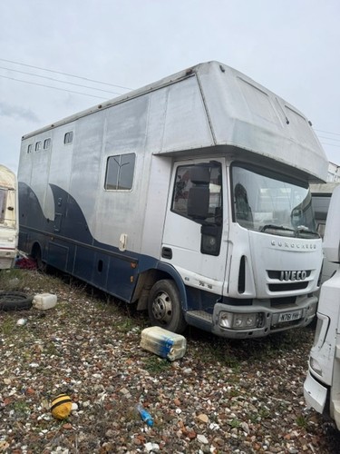 Ford iveco horsebox - iveco,