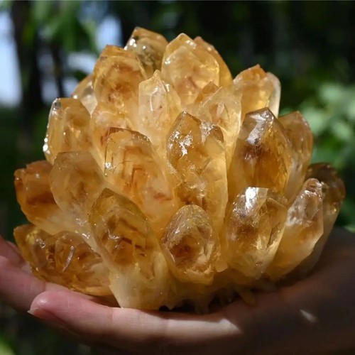 New find natural yellow - find,
