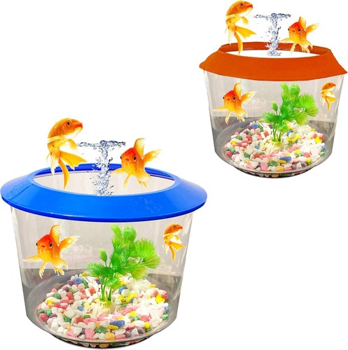 Pet living goldfish - living,