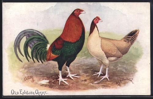 Artist postcard old english - artist,