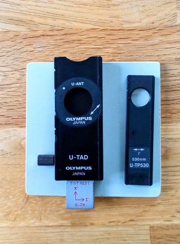 Olympus etc polariser - polariser, /
