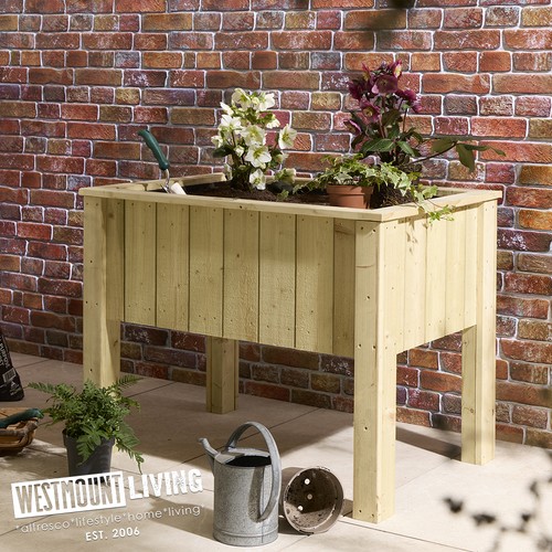 Wooden timber deep root - wooden,