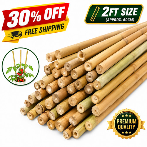 2ft strong heavy - strong,