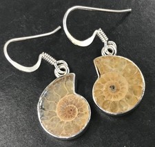 Ammonite fossil earrings