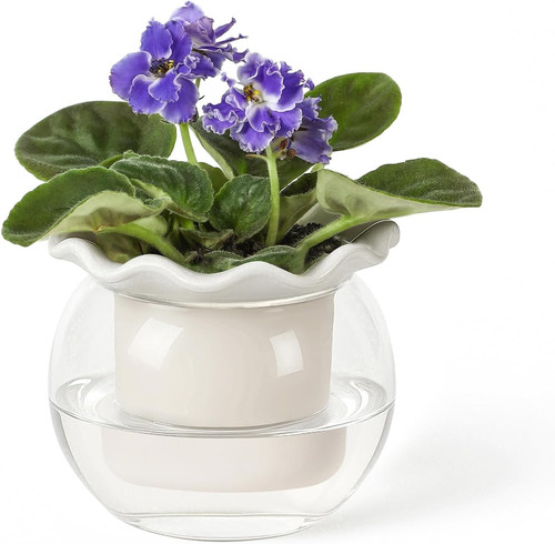 Inch african violet pots - inch,