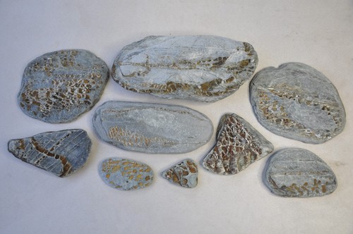 Unique natural patterned - unique,