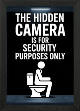 Hidden Camera Security