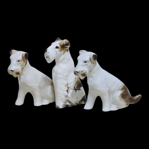 Vintage airedale fox terriers - airedale,