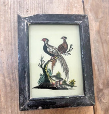 Indian Birds  Vintage Reverse