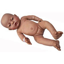 NEWBORN BABY Anatomically
